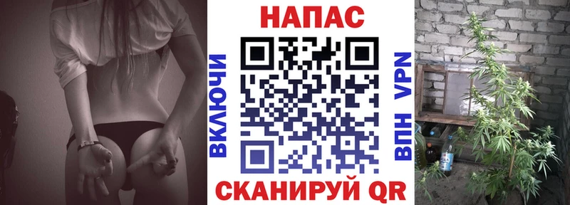kraken зеркало  Свободный  Каннабис MAZAR 